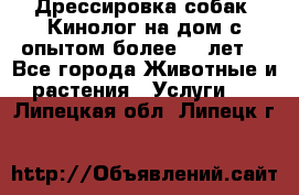 Дрессировка собак (Кинолог на дом с опытом более 10 лет) - Все города Животные и растения » Услуги   . Липецкая обл.,Липецк г.